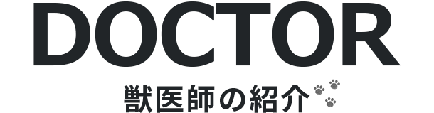 獣医師の紹介 | 岩見沢　さとう動物病院